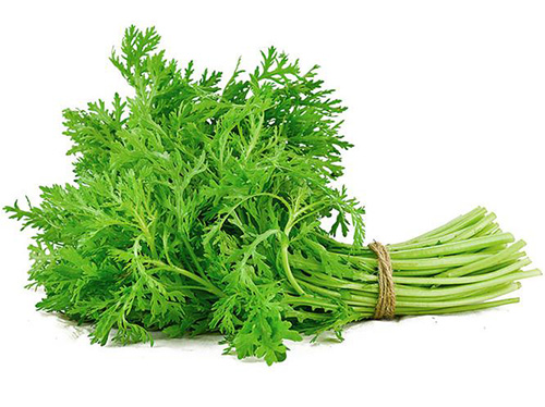 初春野菜味道香，吃法正確才健康